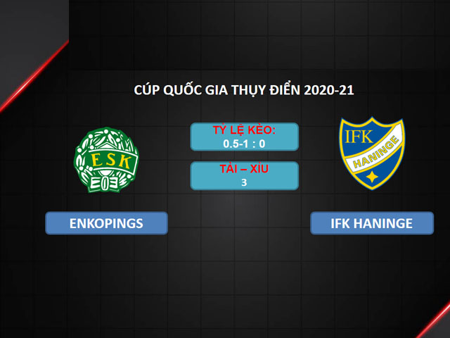Tỷ lệ kèo bóng đá cúp quốc gia Thụy Điển